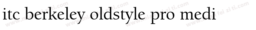 itc berkeley oldstyle pro medium字体转换